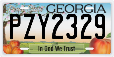 GA license plate PZY2329