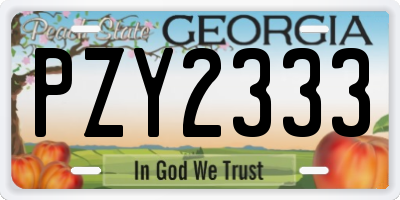 GA license plate PZY2333