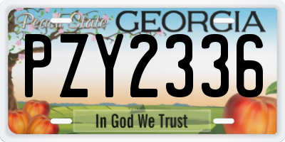 GA license plate PZY2336