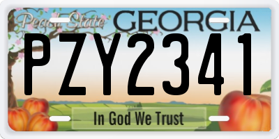 GA license plate PZY2341