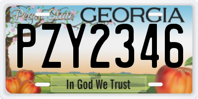 GA license plate PZY2346