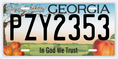 GA license plate PZY2353