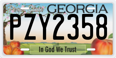 GA license plate PZY2358