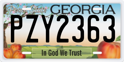 GA license plate PZY2363