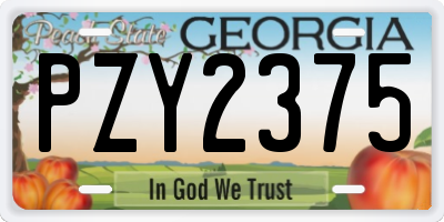 GA license plate PZY2375