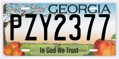 GA license plate PZY2377