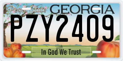 GA license plate PZY2409
