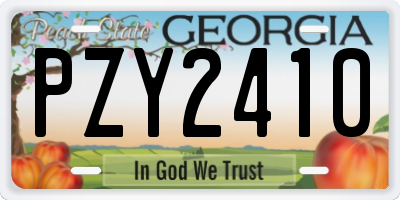 GA license plate PZY2410
