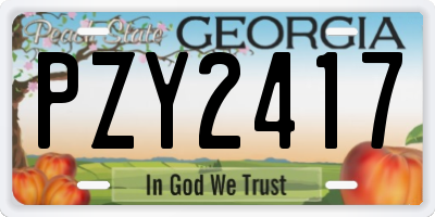GA license plate PZY2417