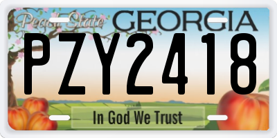 GA license plate PZY2418