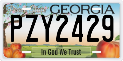 GA license plate PZY2429