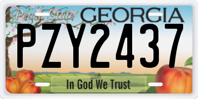 GA license plate PZY2437