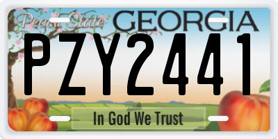 GA license plate PZY2441