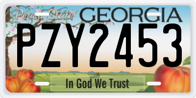 GA license plate PZY2453