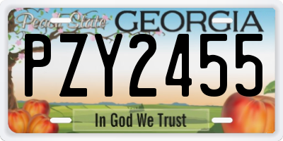 GA license plate PZY2455