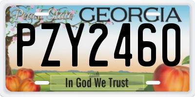GA license plate PZY2460