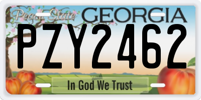 GA license plate PZY2462