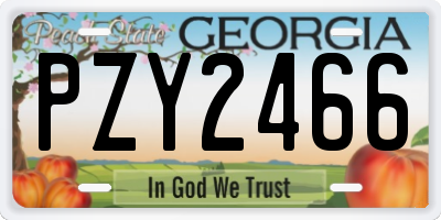 GA license plate PZY2466