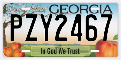 GA license plate PZY2467