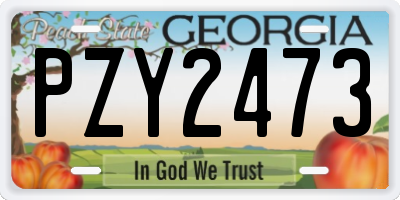 GA license plate PZY2473