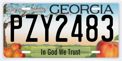 GA license plate PZY2483