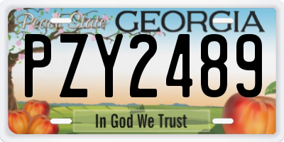 GA license plate PZY2489