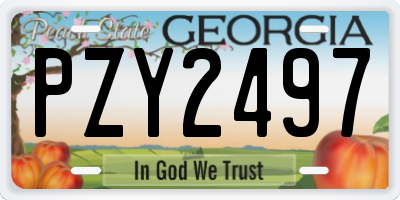 GA license plate PZY2497