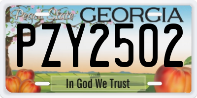 GA license plate PZY2502