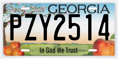GA license plate PZY2514