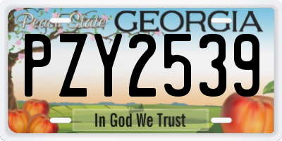 GA license plate PZY2539
