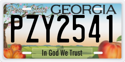 GA license plate PZY2541