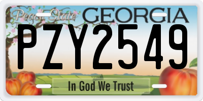 GA license plate PZY2549