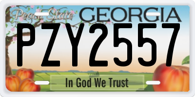 GA license plate PZY2557