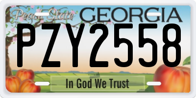 GA license plate PZY2558