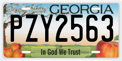 GA license plate PZY2563