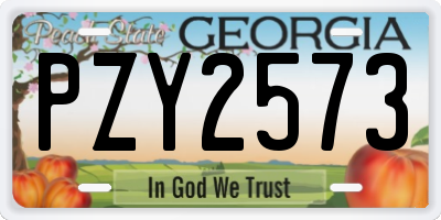 GA license plate PZY2573