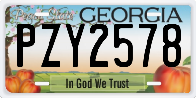 GA license plate PZY2578