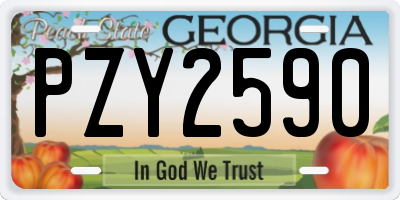 GA license plate PZY2590