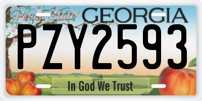 GA license plate PZY2593