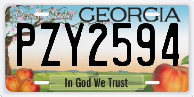 GA license plate PZY2594