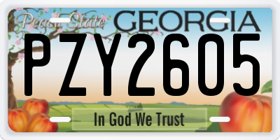 GA license plate PZY2605