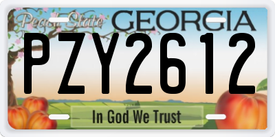 GA license plate PZY2612