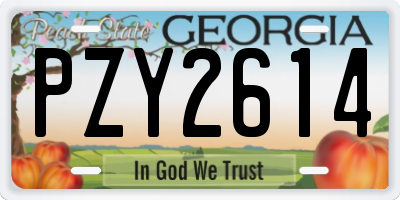 GA license plate PZY2614