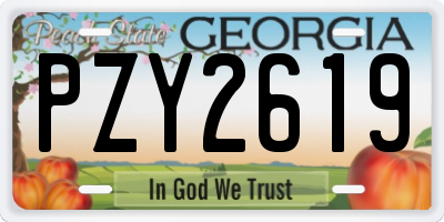 GA license plate PZY2619