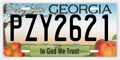 GA license plate PZY2621