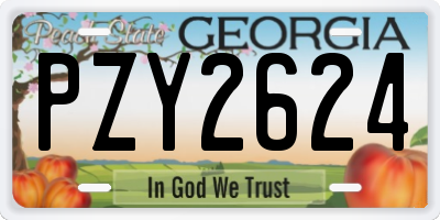 GA license plate PZY2624