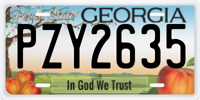 GA license plate PZY2635