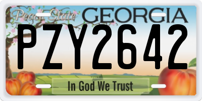 GA license plate PZY2642