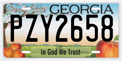 GA license plate PZY2658