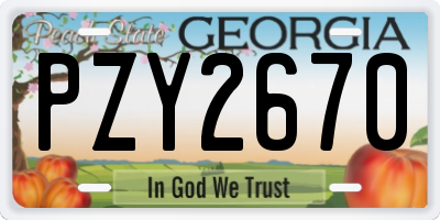 GA license plate PZY2670